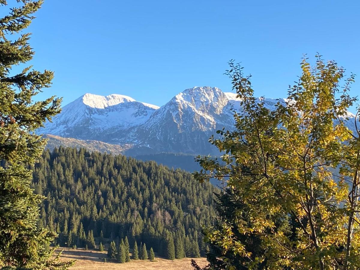 Au Bachat-Bouloud, Appartement 3 Pieces 6 Personnes Avec Balcon Plein Sud Chamrousse Bagian luar foto